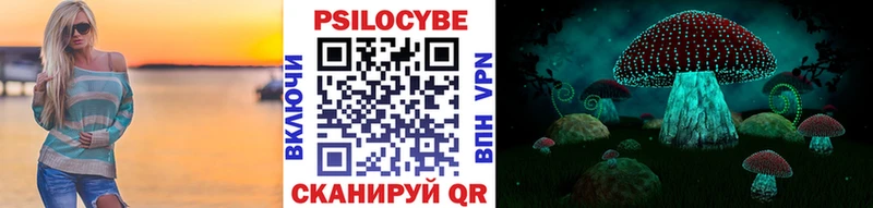 цена   Афипский  Галлюциногенные грибы Psilocybine cubensis 